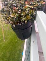 Zwarte balkon bloempot met haak - Gebruikt, Gebruikt, Minder dan 30 cm, Balkon, Minder dan 60 cm