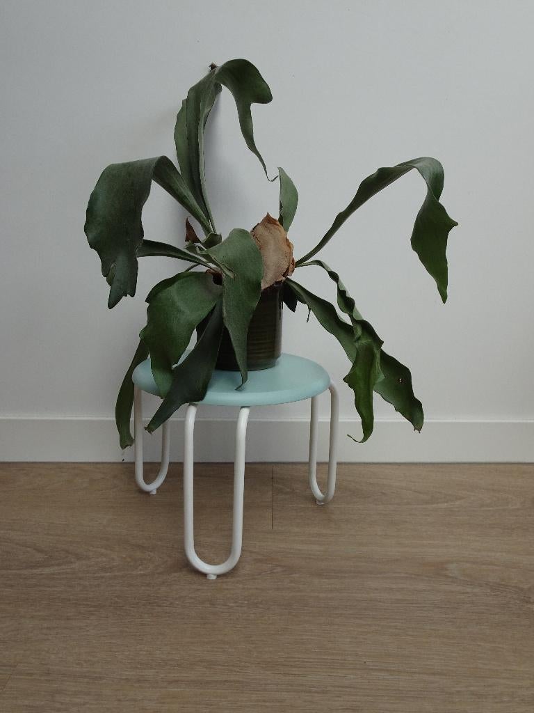 Plantentafel bijzet tafel lage kruk, Minder dan 45 cm, Minder dan 55 cm, Rond, Ophalen of Verzenden