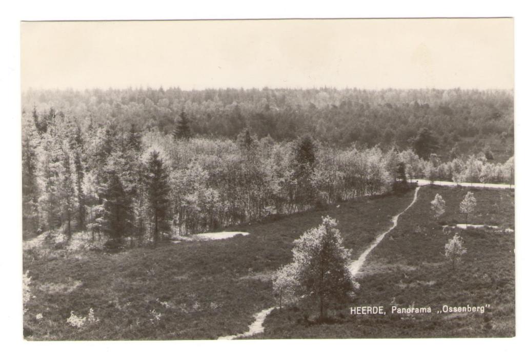 Ansichtkaart Heerde, Ossenberg, Verzamelen, Ansichtkaarten | Nederland, Ongelopen, Overijssel, 1960 tot 1980, Ophalen