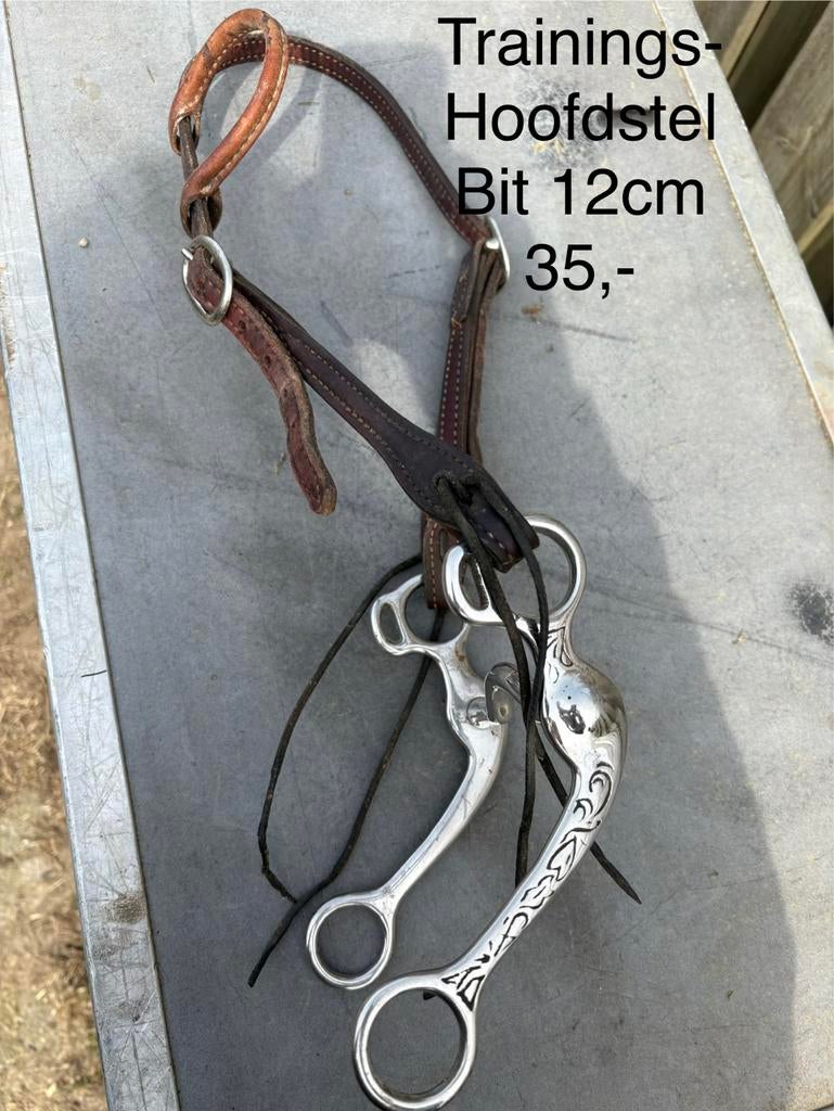 Western hoofdstel, Ophalen of Verzenden, Gebruikt, Western