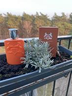 Parfum de Marly, Ophalen of Verzenden, Zo goed als nieuw, Miniatuur