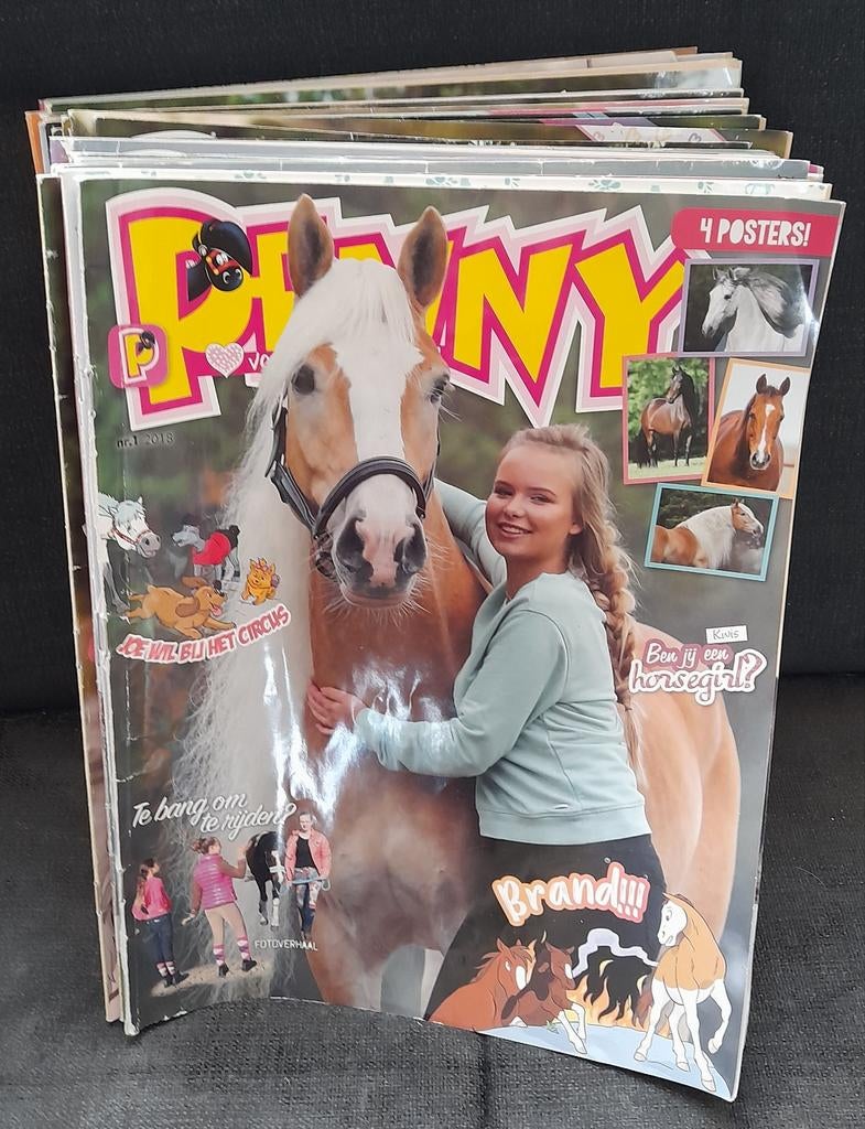 Penny complete jaargang 2018, Ophalen of Verzenden, Gelezen, Overige typen