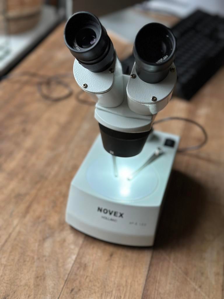 Novex AP-8 LED microscoop, Audio, Tv en Foto, Optische apparatuur | Microscopen, Ophalen of Verzenden, Zo goed als nieuw, Stereomicroscoop
