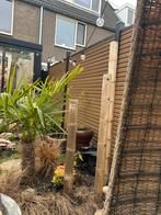 3 bamboe palen, Ophalen, Zo goed als nieuw, 250 cm of meer, Palen