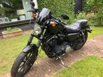 Harley Davidson - Iron 883, Motoren, Motoren | Harley-Davidson, 883 cc, Particulier, Meer dan 35 kW, Overig