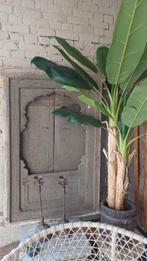 Zwaar Indiaas raamluik met 2 luiken aan de acht- Hoffz stijl, Ophalen of Verzenden