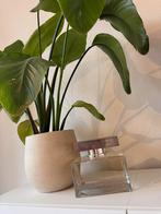 Factice parfumfles Dolce & Gabbana - Decoratie, Ophalen of Verzenden, Gebruikt