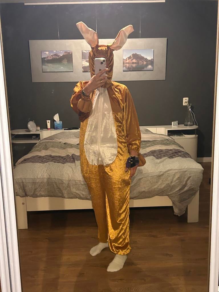 Paashaaspak, Kleding | Heren, Carnavalskleding en Feestkleding, Ophalen, Zo goed als nieuw
