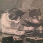 Gravure Spelende Kat - Willem Steelink, Antiek en Kunst, Kunst | Etsen en Gravures, Ophalen