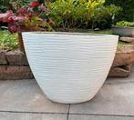 Grote ovale plantenbak/bloempot (wit), Ophalen, Gebruikt, Minder dan 60 cm, Overige vormen