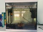 Aquarium te koop 30 liter, Ophalen, Zo goed als nieuw, Leeg aquarium