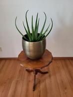 Bronzen Bloempot - Metaal, Rond, Binnen, Ophalen of Verzenden, Zo goed als nieuw