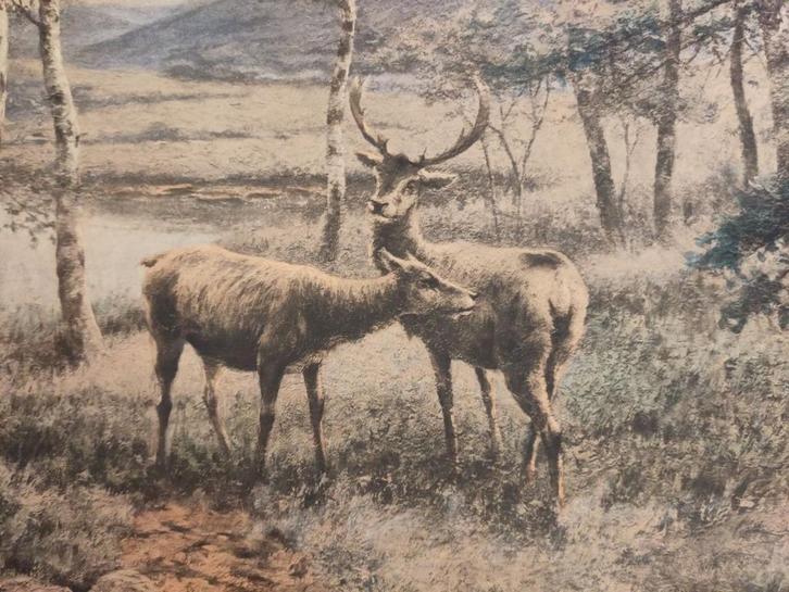 grafiek/ets 1890 Henri Houben, Antiek en Kunst, Kunst | Schilderijen | Klassiek, Ophalen of Verzenden