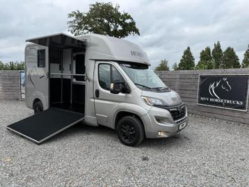 TOP | OPEL HORSEBOX | 2023 STX/AKX | PAARDENWAGEN | 31.000KM beschikbaar voor biedingen