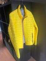 Marc O’ Polo ski jack voor heren, Kleding | Heren, Maat 52/54 (L), Geel, Ophalen of Verzenden, Gino van Veenendaal