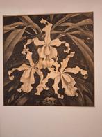 Lithografie Bloemen Jan Voerman jr, Ophalen of Verzenden