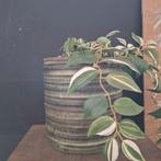 Grote vintage bloempot groen, Ophalen of Verzenden