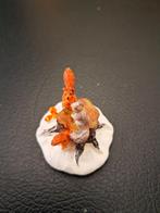 Lemax eekhoorns op een boomstam, Ophalen of Verzenden