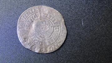 Dubbele Kromsteerd Oost Friesland 1504 beschikbaar voor biedingen