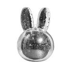 GEZOCHT! Nijntje Discobal, Ophalen of Verzenden, Zo goed als nieuw