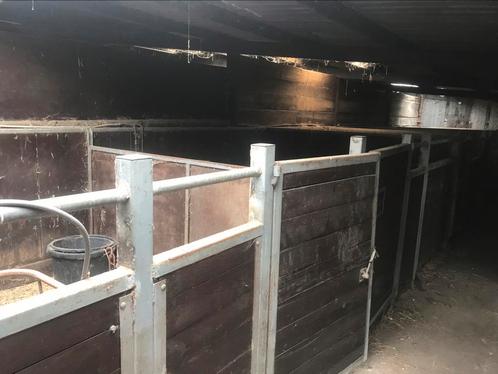 Boxen, Dieren en Toebehoren, Stalling en Weidegang