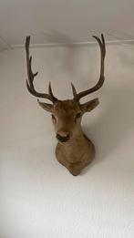 Hertenkop, Ophalen, Gebruikt, Hert, Gewei of Kop