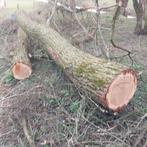 Hakblok , kloofblok, Tuin en Terras, Haardhout, Minder dan 3 m³, Ophalen of Verzenden, Overige houtsoorten, Blokken