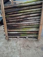 Afrasteringspalen/ palen / weide paaltjes, Meerdere dieren, Schaap