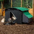 Nestera kippenhok: grond model, Large. OP VOORRAAD, Dieren en Toebehoren, Ophalen, Nieuw, Kippenhok of Kippenren