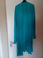 Nora vest, Kleding | Dames, Truien en Vesten, Ophalen, Zo goed als nieuw, Maat 46/48 (XL) of groter