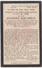 Joannes Aquarius 1870 Beegden + 1911 Beegden, 41 jaar, Verzamelen, Verzenden, Bidprentje