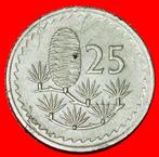 *GREAT BRITAIN (1963-1982):CYPRUS 25 MILS 1979 CEDAR LEBANON, Postzegels en Munten, Munten | Europa | Niet-Euromunten, Losse munt