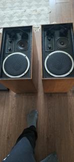 T+A delta 70 speakers omnidirectional  ( zeer zeldzaam), Audio, Tv en Foto, Luidsprekers, Overige merken, Gebruikt, Ophalen of Verzenden