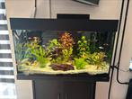 Juwel aquarium 140L, Dieren en Toebehoren, Ophalen, Zo goed als nieuw, Leeg aquarium