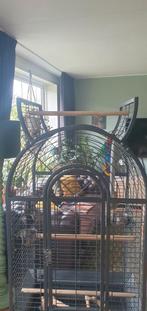 Papegaaienkooi, Dieren en Toebehoren, Vogels | Hokken en Kooien, Ophalen, Zo goed als nieuw, Metaal, Vogelkooi