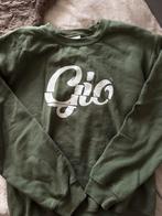 Gio Latooy Fan Trui - Groen - Maat S, Ophalen of Verzenden, Zo goed als nieuw, Maat 36 (S), Groen
