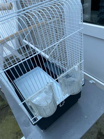 Vogel kooi beschikbaar voor biedingen