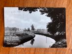 Aalten. Kudde koeien aan de Slingebeek. 1972., Ophalen of Verzenden, 1960 tot 1980, Gelopen, Gelderland