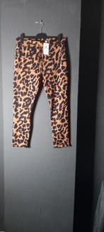 Bibi Roche Broek XXL Nieuw, Bruin, Maat 46/48 (XL) of groter, Nieuw, Ophalen of Verzenden