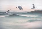 Kraanvogel behang Mystic Cranes, 400x280 cm, Muurdeco4kids, Verzenden, 10 tot 25 m², Kraanvogel, vogelbehang