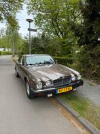 Jaguar Sovereign 5.3 HE AUT 1984 Bruin belastingvrij, Automaat, Origineel Nederlands, 1900 kg, Sovereign