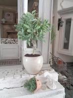 Olijfboom in pot....Poppenhuis 1:12...(Fotonr H4)*, Ophalen of Verzenden, Nieuw, Poppenhuis