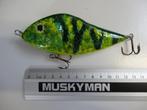 Kunstaas: Salmo Slider 12 Floating Jerkbaits, Watersport en Boten, Hengelsport | Roofvissen, Verzenden, Gebruikt, Overige typen