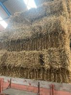 Kleine stro baaltje / pakjes, Dieren en Toebehoren, Ophalen of Verzenden