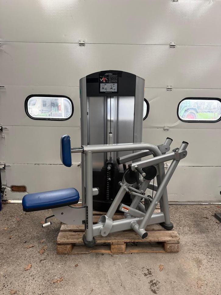 Life Fitness Row/ Rear Deltoid/ rower/ seated row/, Sport en Fitness, Fitnessmaterialen, Zo goed als nieuw, Overige typen, Ophalen