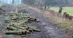 Gezocht bomen/stammen   houtwallen, Tuin en Terras, Haardhout, Ophalen of Verzenden, Blokken, Overige houtsoorten