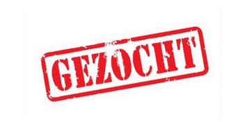 Vacature: Vrachtwagenchauffeur CE  beschikbaar voor biedingen