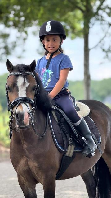 Lieve Welsh A kinderpony beschikbaar voor biedingen