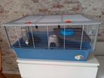 Hamster kooi, knaagdierenkooi, Kooi, Minder dan 75 cm, Minder dan 60 cm, Ophalen of Verzenden