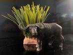 Schlech wildlife: Kafferbuffel, Ophalen of Verzenden, Zo goed als nieuw, Paard, Beeldje of Figuurtje